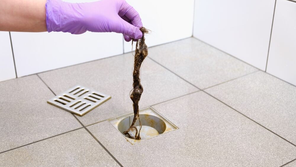 Pulling a clump of hair from the shower drain